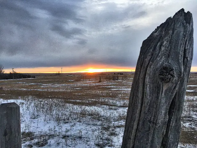 Winter sunset over prairie fields with old fence posts